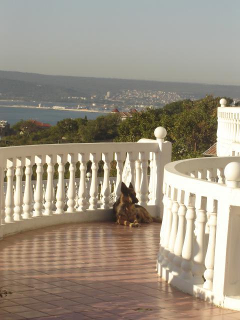 Family Hotel Casablanca Green Varna Exteriör bild
